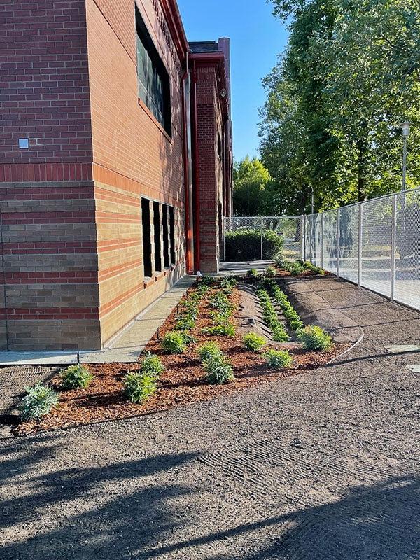 small plants in front of a brick building with soil in front of the garden area