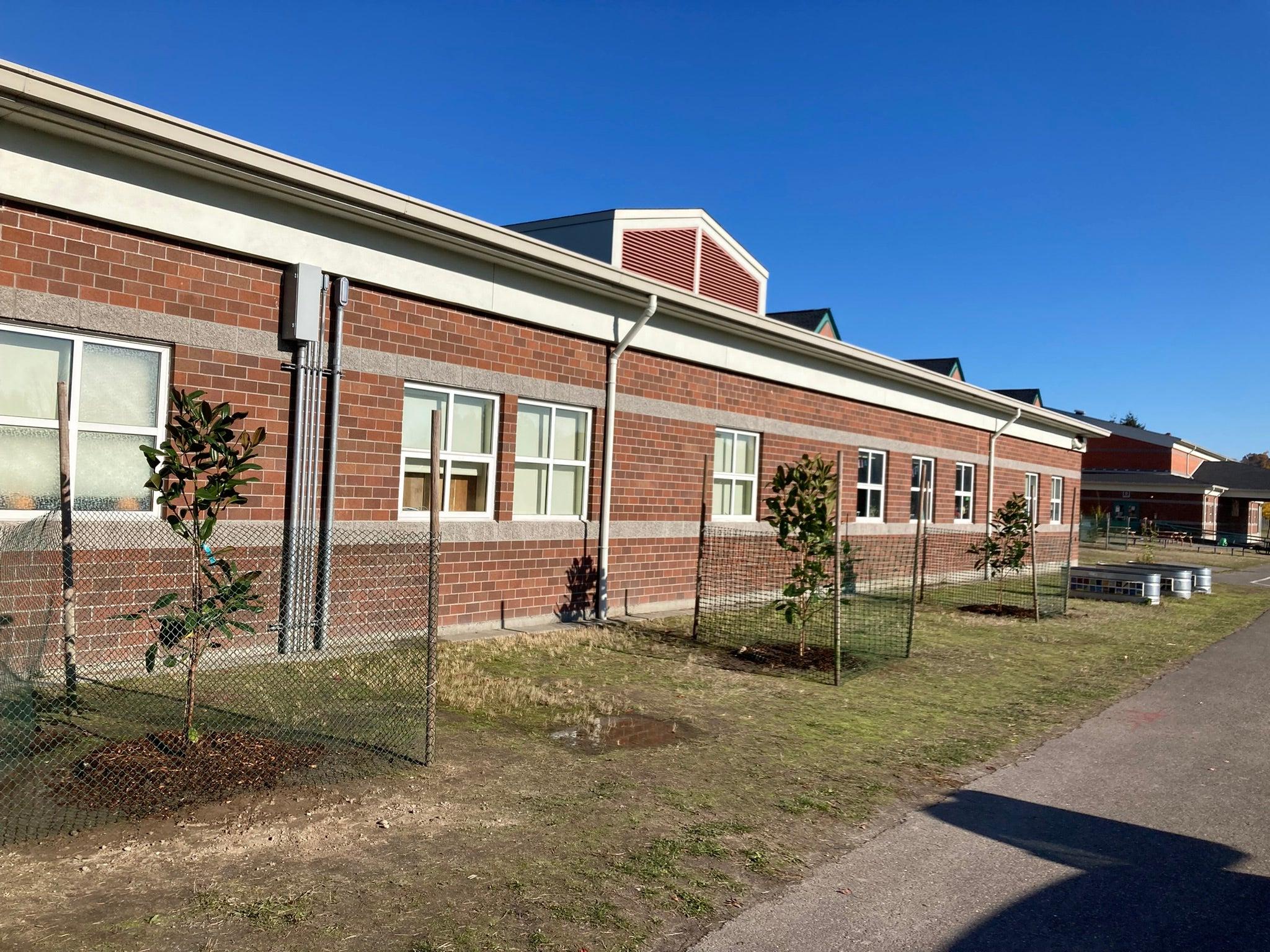 New Trees from Trees for Neighborhoods